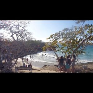 Meet your Posher, Alexia